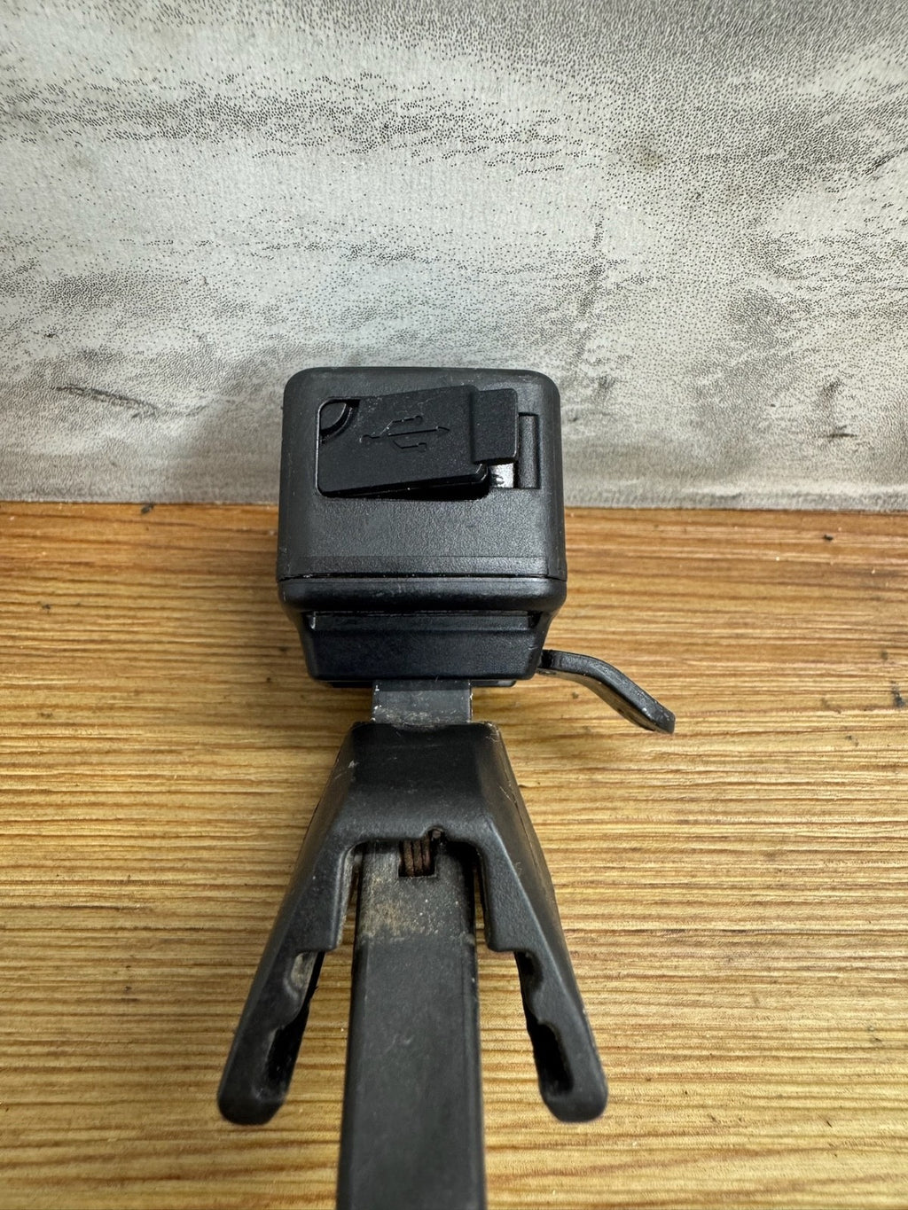 Trek Bontrager ION 200 Flare RT with Mount