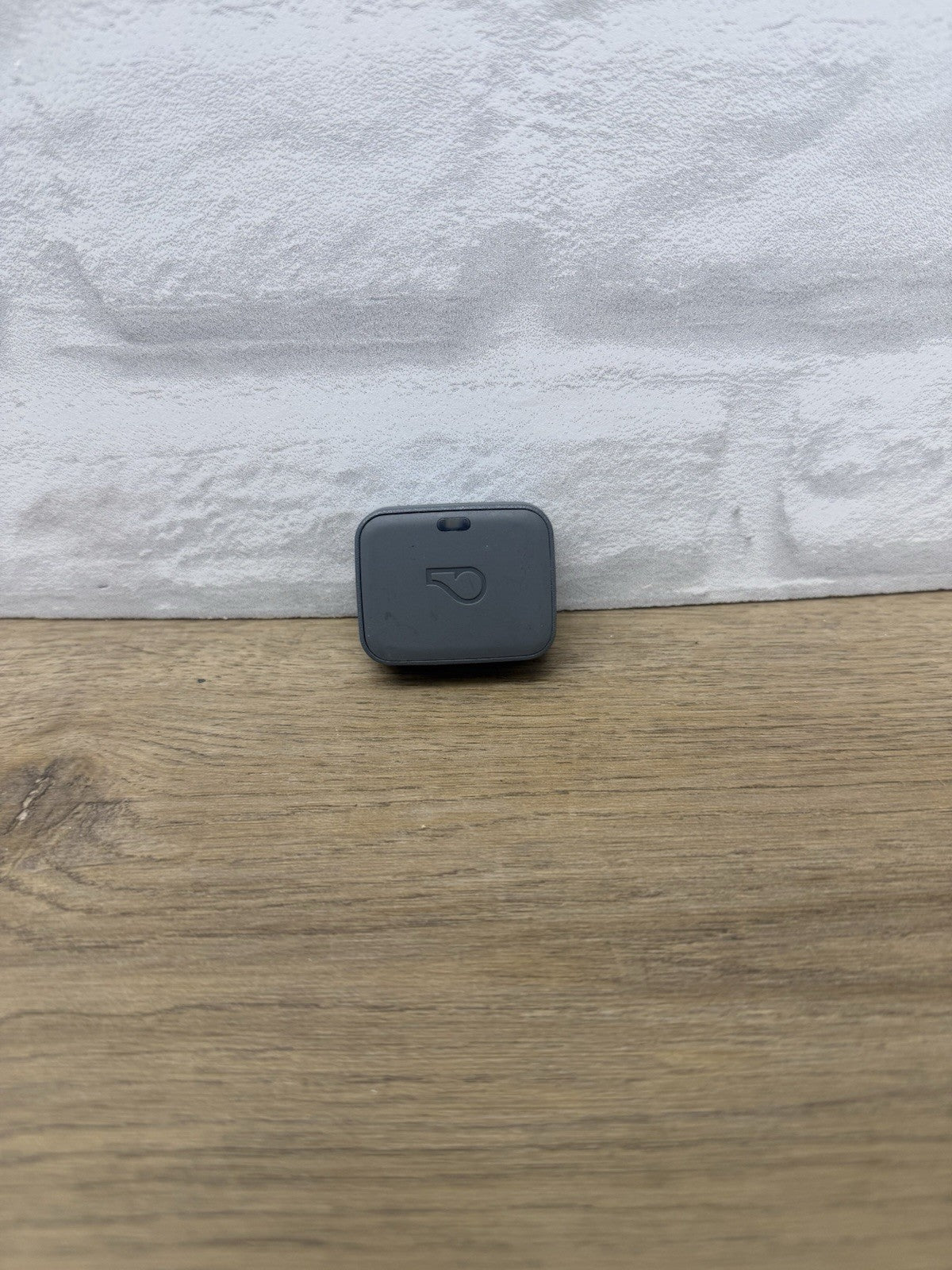 Whistle Go Health + GPS Tracker